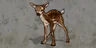 Flag_BabyDeer
